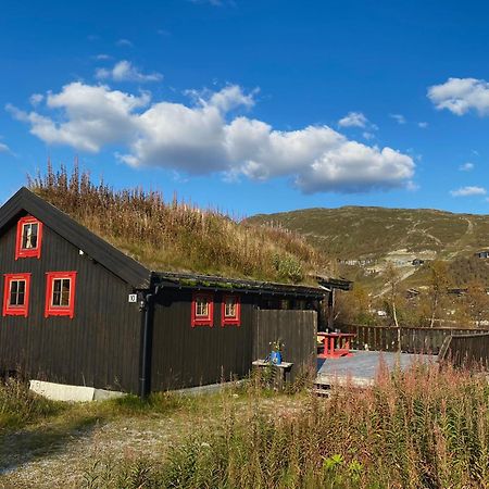 Haukeli Mountain Cabin Vågsli Εξωτερικό φωτογραφία